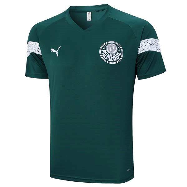 Camiseta Entrenamiento Palmeiras 2023 2024 Verde